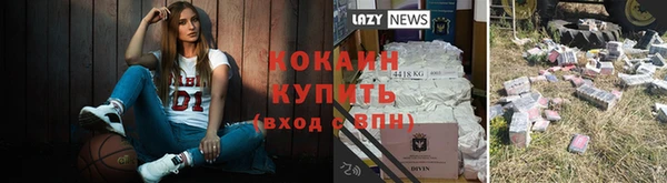 шишки Осинники