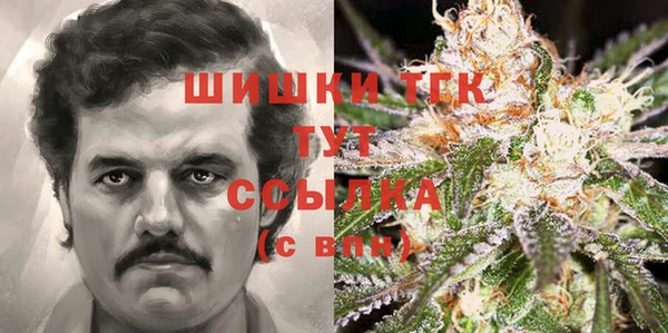 ПСИЛОЦИБИНОВЫЕ ГРИБЫ Осташков