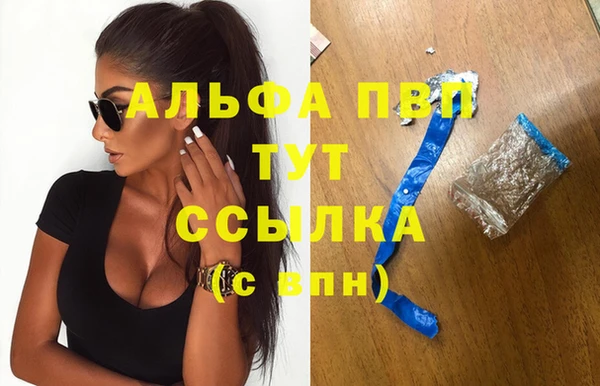 ПСИЛОЦИБИНОВЫЕ ГРИБЫ Осташков