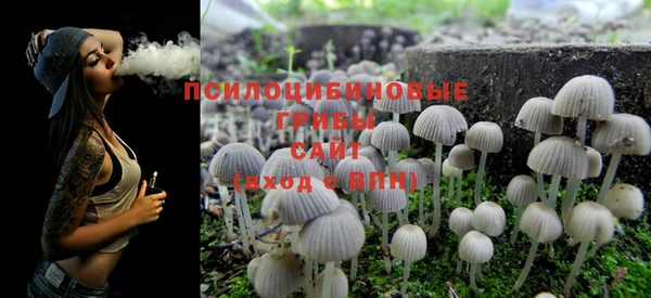 шишки Осинники