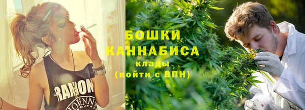 шишки Осинники