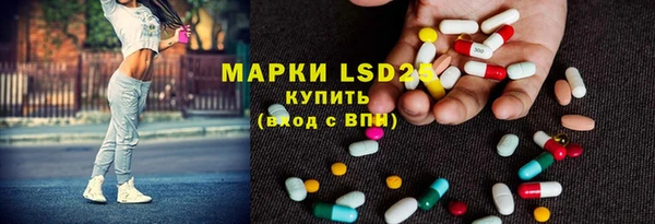 шишки Осинники