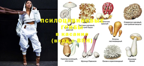 ПСИЛОЦИБИНОВЫЕ ГРИБЫ Осташков