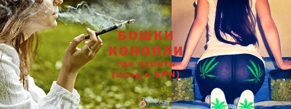 шишки Осинники
